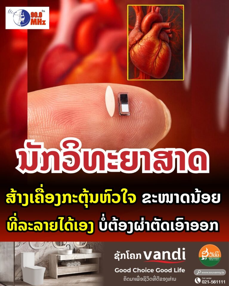 ນັກວິທະຍາສາດ ສ້າງເຄື່ອງກະຕຸ້ນຫົວໃຈຂະໜາດນ້ອຍ ທີ່ລະລາຍໄດ້ເອງ ບໍ່ຕ້ອງຜ່າຕັດເອົາອອກ