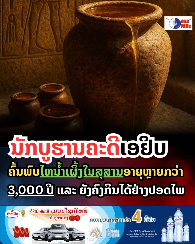 ນັກບູຮານຄະດີເອຢິບ ຄົ້ນພົບໄຫນ້ຳເຜິ້ງໃນສຸສານອາຍຸຫຼາຍກວ່າ 3000ພັນ ຍັງສາມາດກິນໄດ້ຢ່າງປອດໄພ