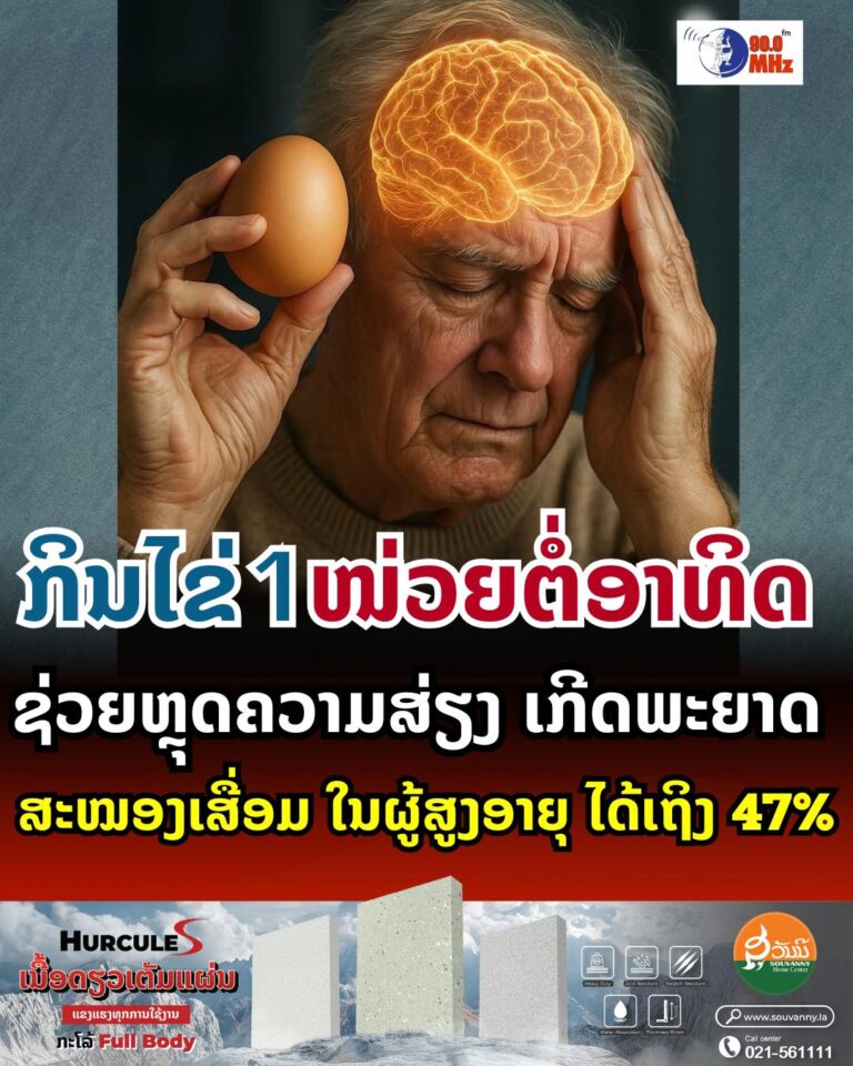 ກິນໄຂ່ 1 ໜ່ວຍ ຕໍ່ອາທິດ ຊ່ວຍຫຼຸດຄວາມສ່ຽງເກີດພະຍາດ ສະໝອງເສື່ອມໃນຜູ້ສູງອາຍຸ ໄດ້ເຖິງ 47%