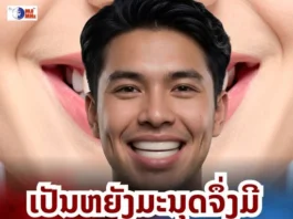 “1 ຮອຍຍິ້ມ ກັບ 32 ຊ່ຽວຊານ” ເປີດຄວາມລັບລະບົບເຄື່ອງມືທຳມະຊາດໃນປາກຂອງມະນຸດ