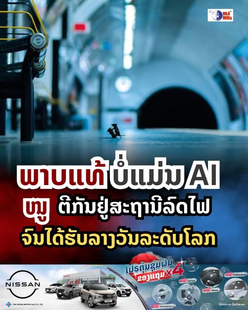 720192972_1446363167527932_247257928161550303_n